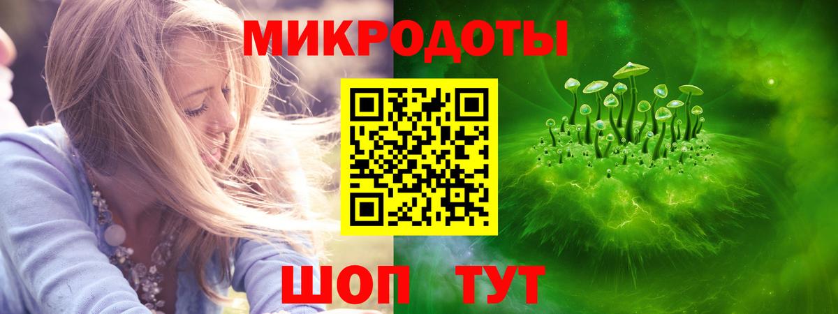 Ставрополь  Псилоцибиновые грибы Psilocybe  Вход с VPN 