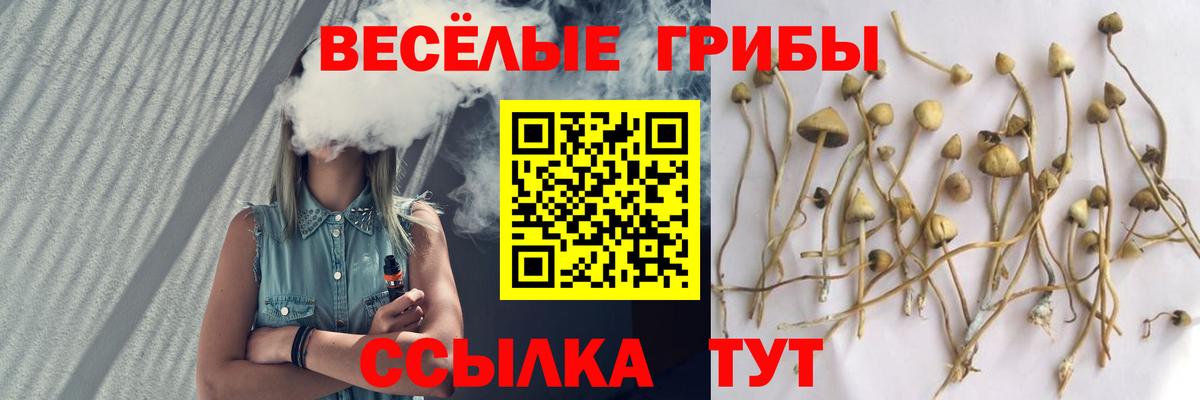 Псилоцибиновые грибы GOLDEN TEACHER Ставрополь