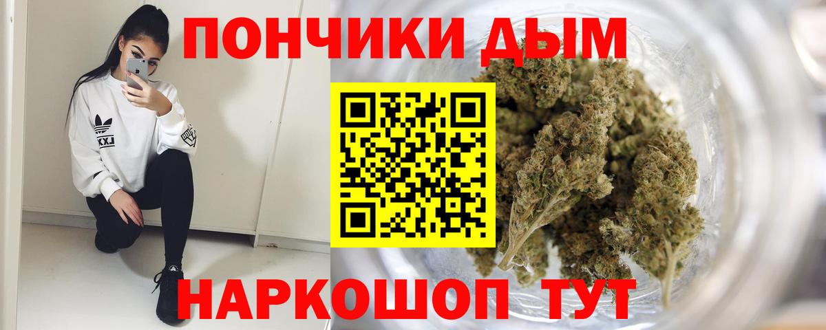 Каннабис индика Ставрополь
